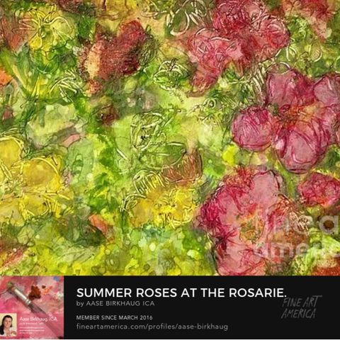 SUMMER ROSES AT ROSARIET AT MILDE