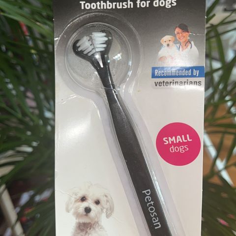 Profesjonell Tannbørste kjøpt fra Dyreklinikk til Små hunder