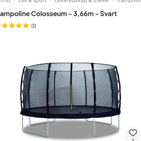 Rosa trampoline
