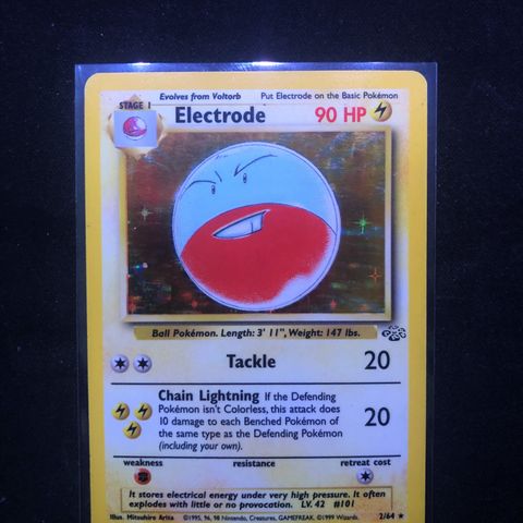 Pokemon Electrode Holo 2/64 Jungle Tilstand ca. NM/LP