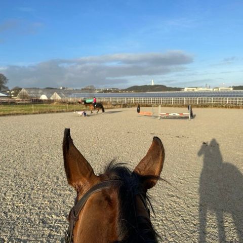 Stallplass ledig i Stavanger, nye paddocker