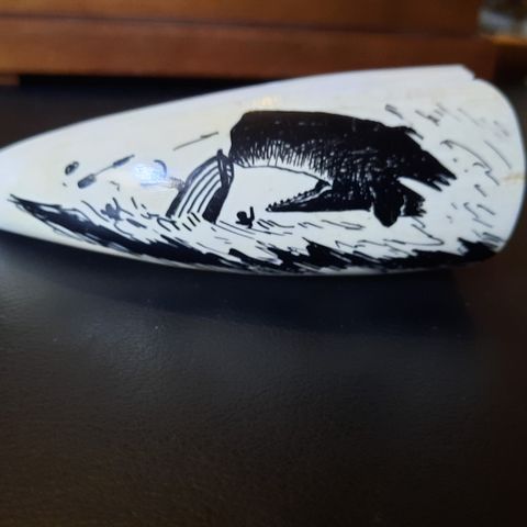 Scrimshaw Hvaltann