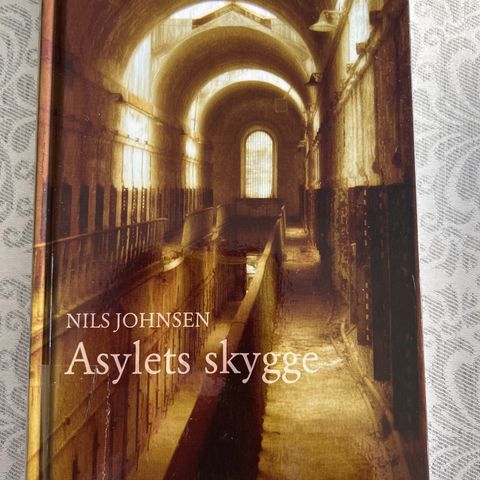 Nils Johnsen - Asylets skygge