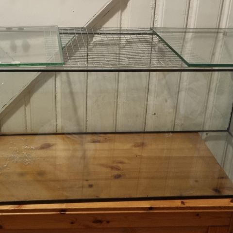 Akvarium brukt som hamsterbur selges