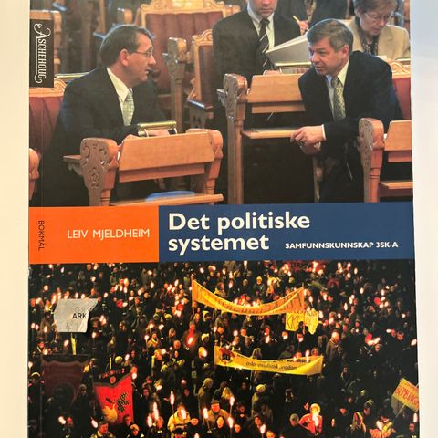 Det politiske systemet - Leiv Mjeldheim