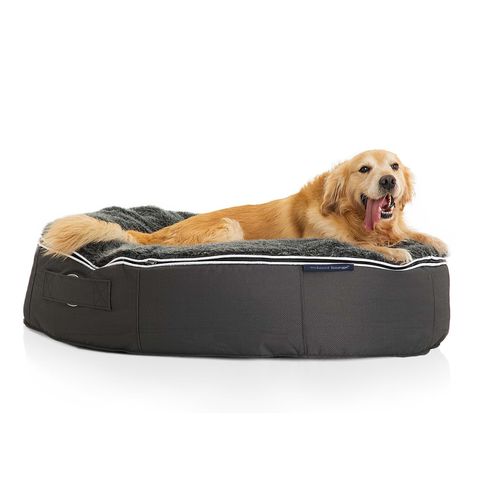 Hundeseng Medium fra Ambient Lounge (Moss)