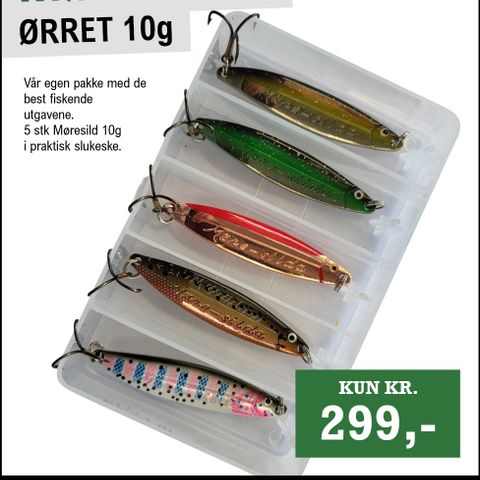 FISKELYKKE I BOKS. 5pk Møresild 10g