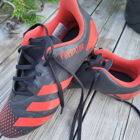 Adidas Predator fotballsko str. 37