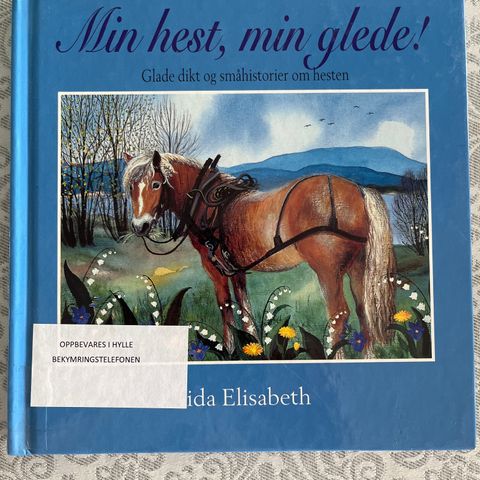 Ida Elisabeth Jørgensen - Min hest, min glede