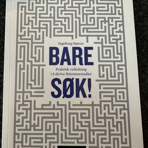 Bare søk- praktisk veiledning i å skrive litteraturstudier