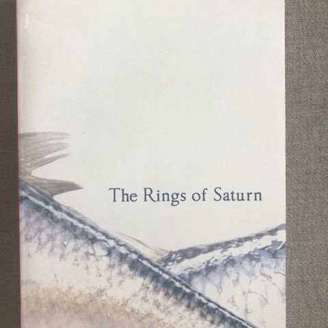 The rings of saturn av W. G. Sebald