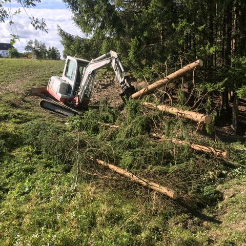 Takeuchi abs TB135 leies ut