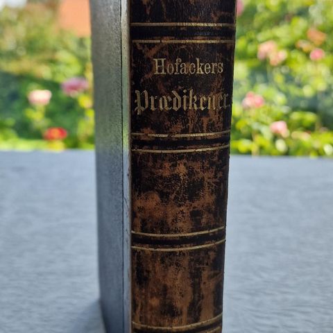 Prædikener (1863) Ludvig Hofacker
