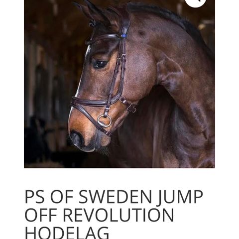 PS Of Sweden jump off Revolution  hodelag
