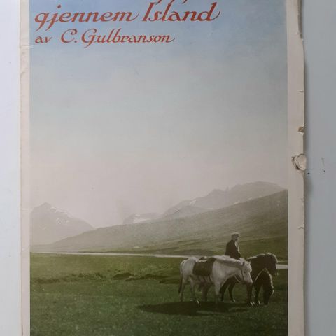 Paa Hesteryggen gjennem Island (1926)