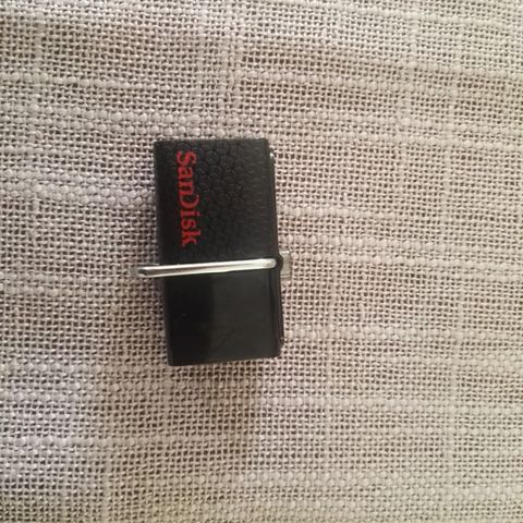 Sandisk minnepen