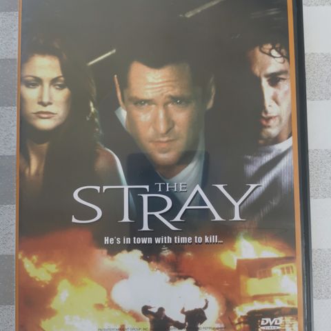 The Stray (DVD 2000, norsk tekst)
