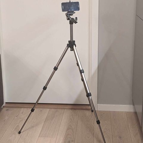 Tripod Silk Compact XL with phone adapter
