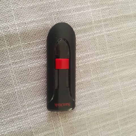 Sandisk minnepen