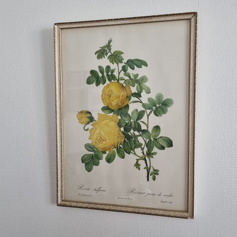 Annonsebilde