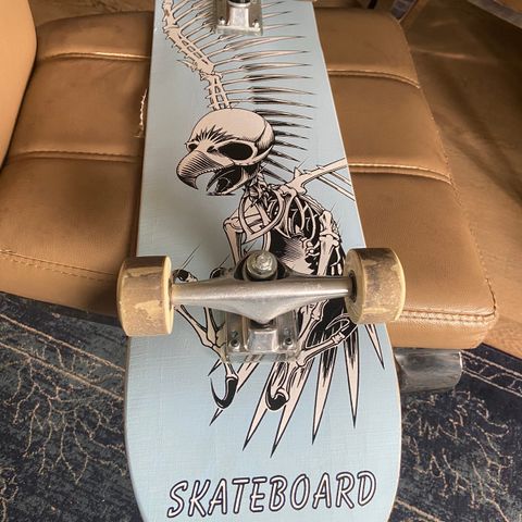 skateboard