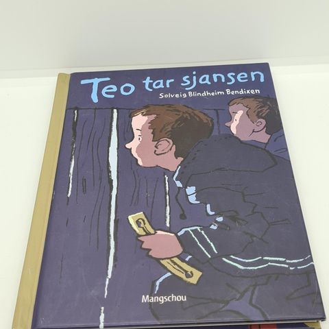 Teo tar sjansen - Solveig Blindheim Bendixen