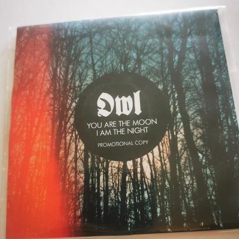 Owl - You Are The Moon, I Am The Night (promo)