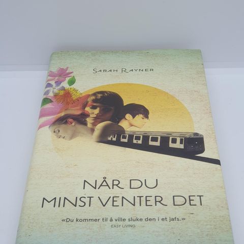 Når du minst venter det - Sarah Rayner