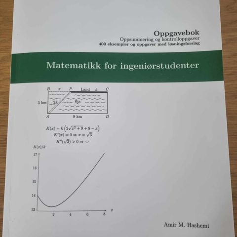 Oppgavebok - Matematikk for ingeniørstudenter - Amir M. Hashemi