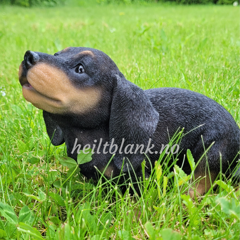 sort og tan dachshund valp - ulende figur