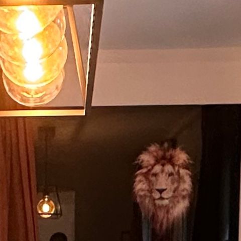 Lion glassbildet