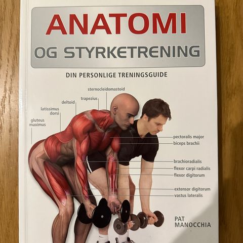 Anatomi og styrketrening