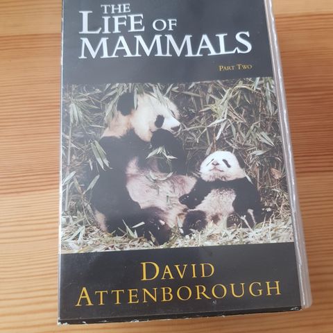 The Life of Mammals part two vhs