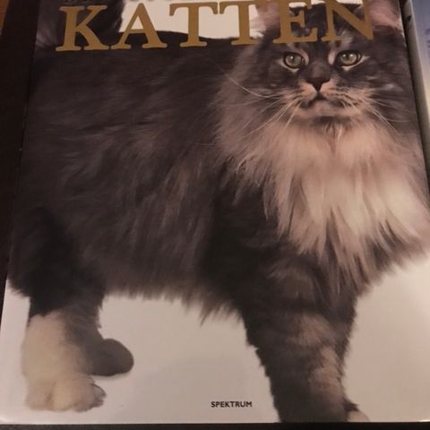 Kattebøker faktabok om katter