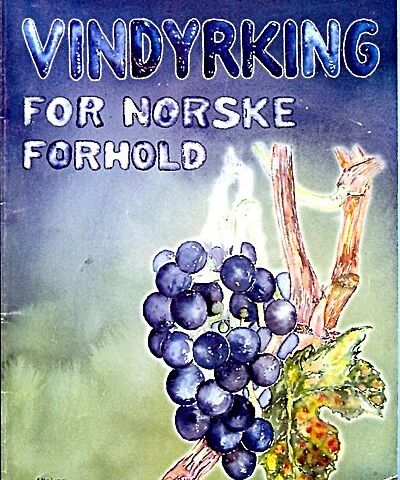 Vindyrking for norske forhold av Håkon Lysne