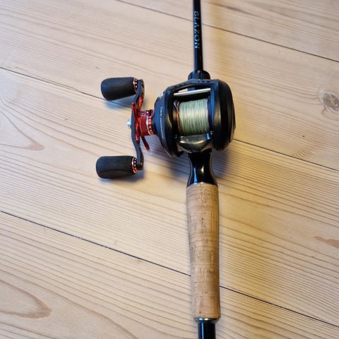 Abu Garcia mgx og daiwa blazon