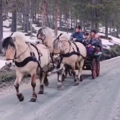 Maraton vogn ideel for flerspann til Salgs