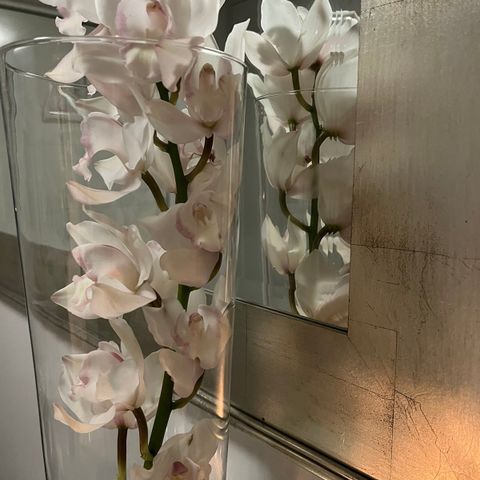 Nydelig høy glassvase til feks orkidé blomster - blomstervase, selges!