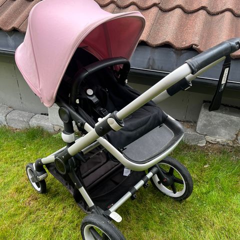 Bugaboo fox