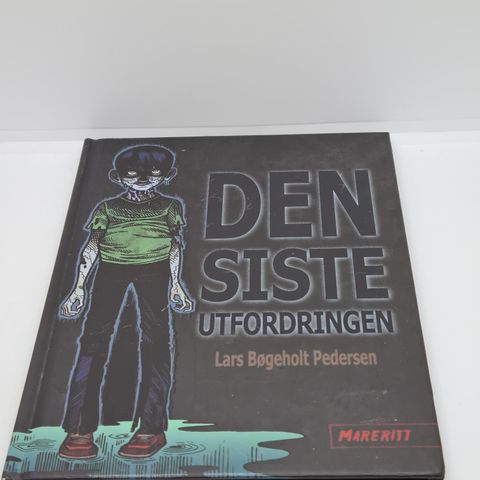 Den siste utfordringen - Lars Bøgeholt Pedersen