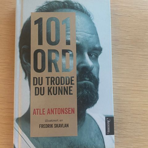 101 ord du trodde du kunne