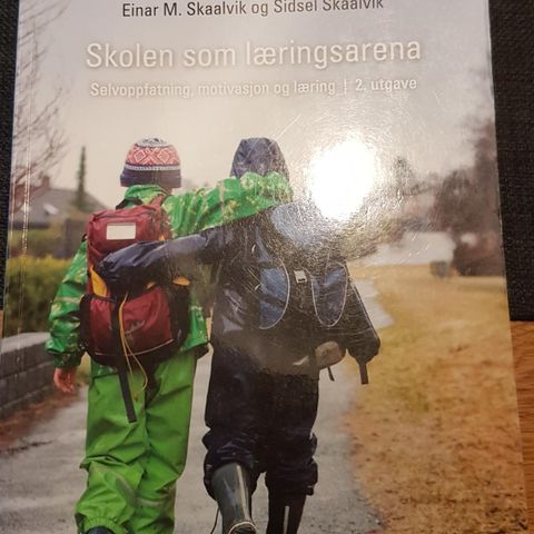 Skolen som læringsarena