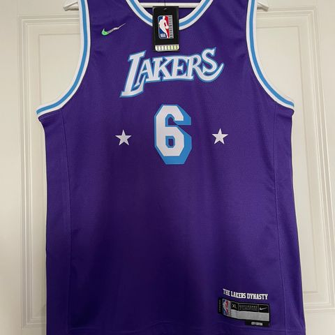 Lakers Lebron James #6 City Edition