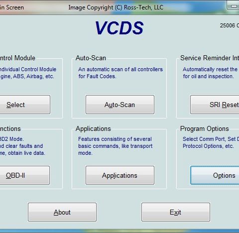 Vcds diagnose /diagnose hjelp