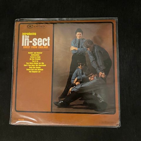 INTRODUCING THE IN-SECT DIRECT FROM ENGLAND