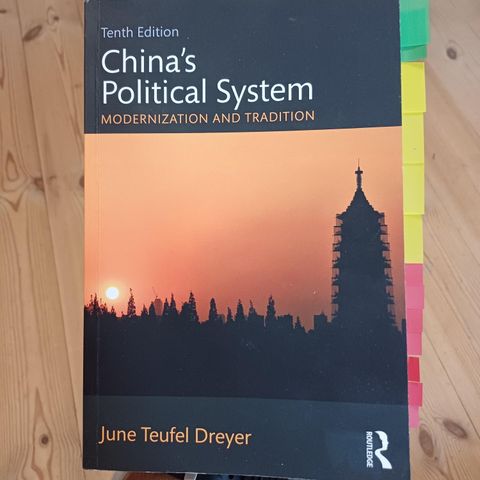 China's political system