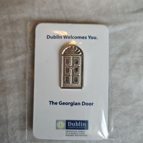 Dublin pin (The Georgian Door)