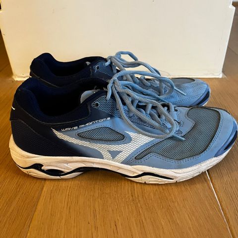 Mizuno hallsko