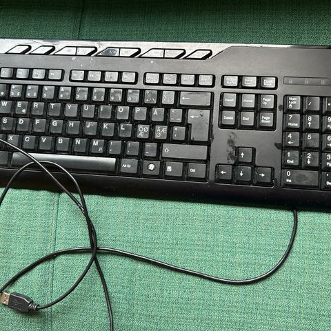 Acer tastatur