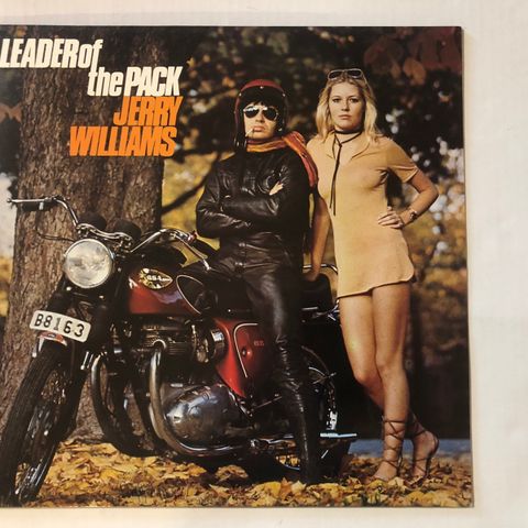 JERRY WILLIAMS / LEADER OF THE PACK - VINYL LP